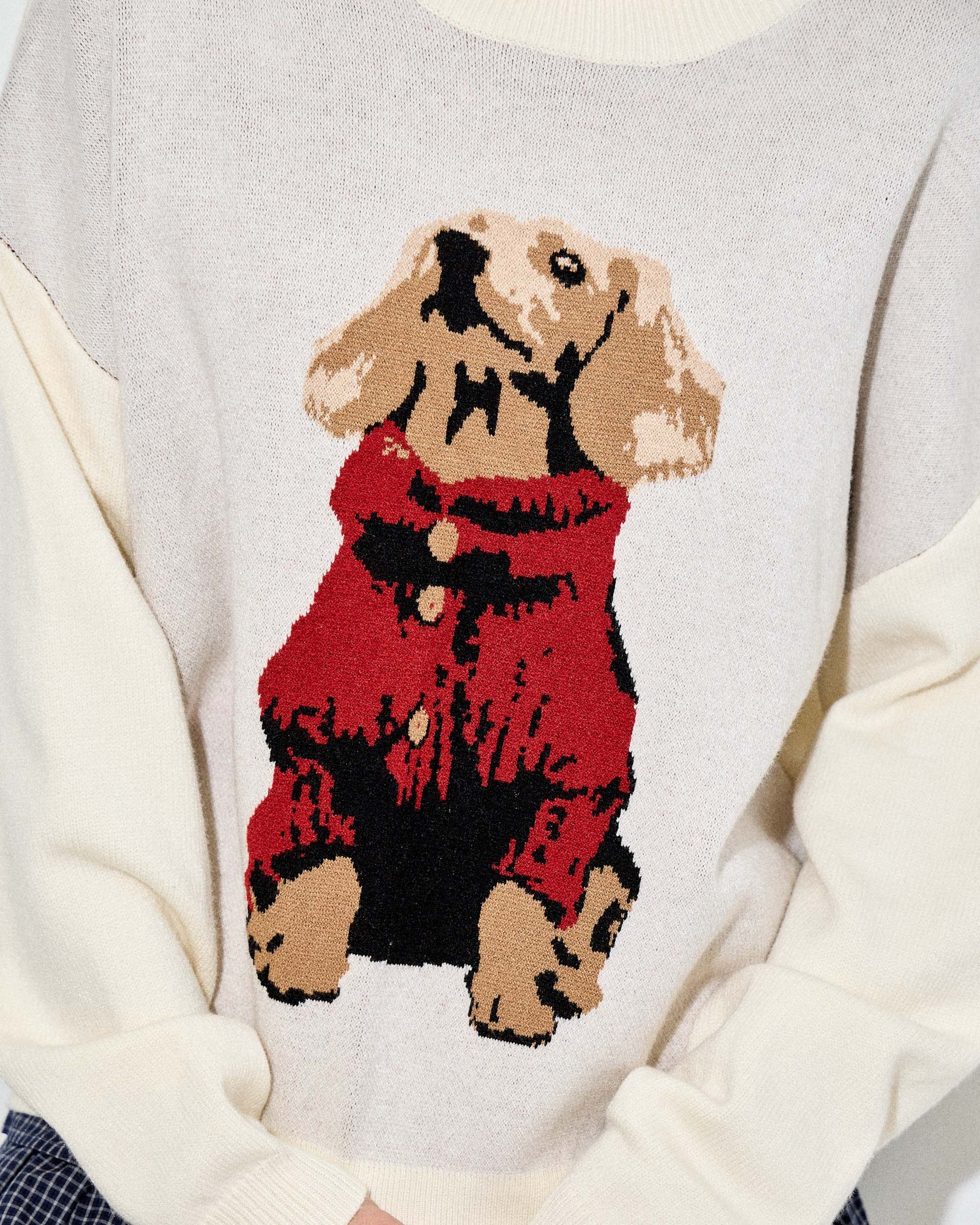 Person wearing a sweater with a dog design, holding hands with another person.