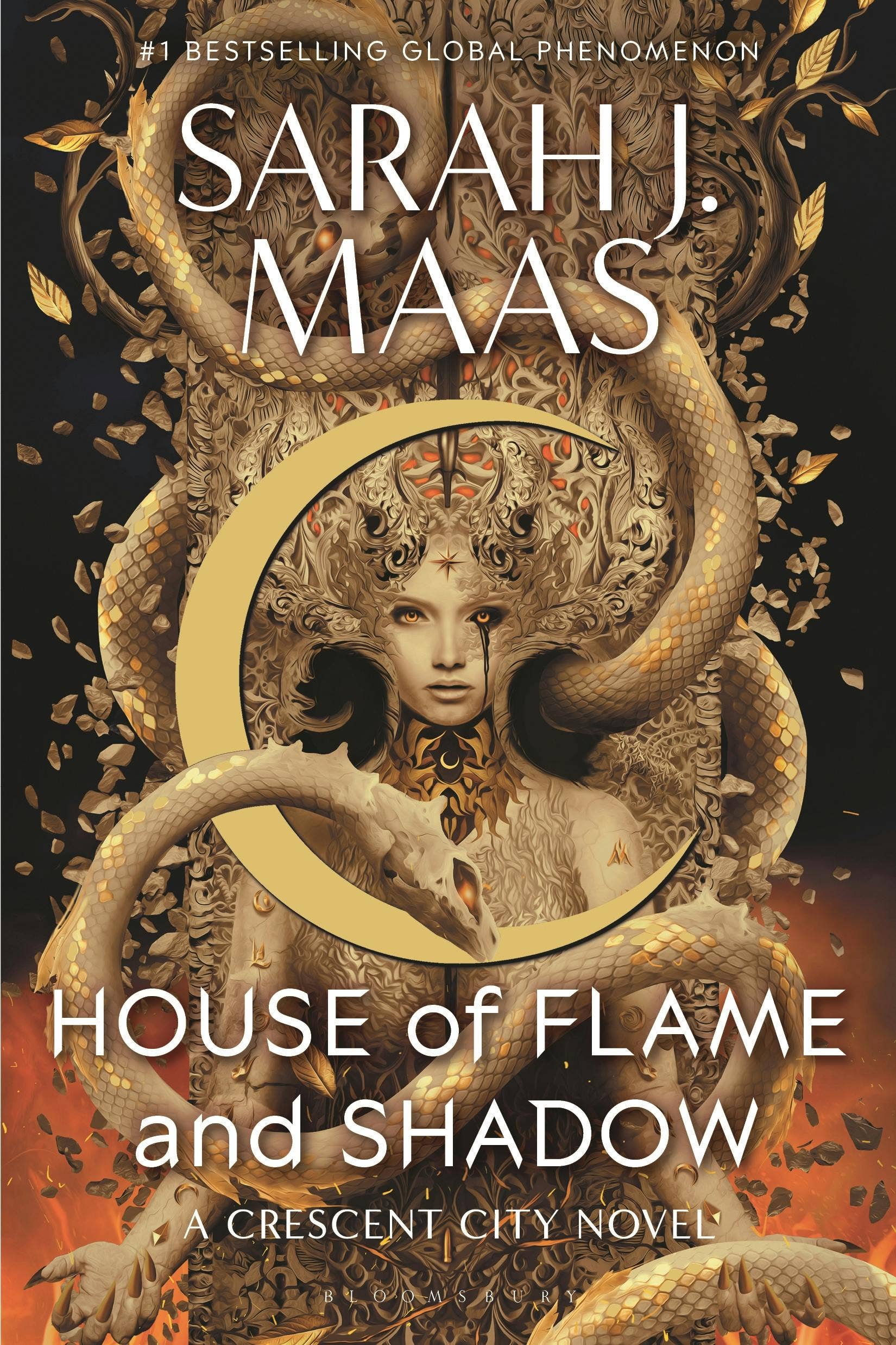 House of Flame And Shadow