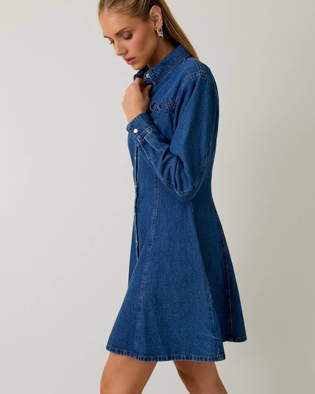 Fit & Flare Denim Mini Dress