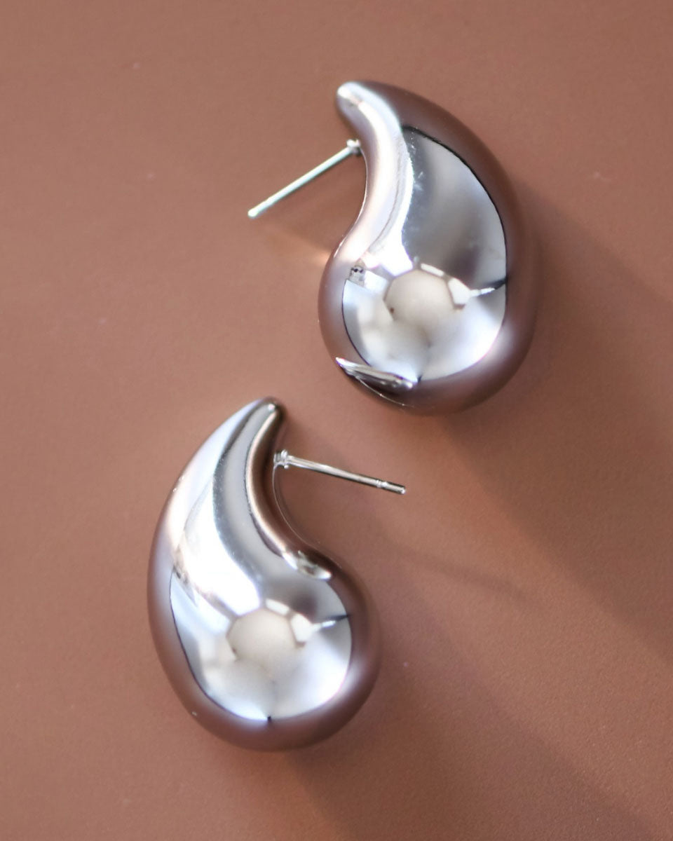 Stainless Steel Teardrop Earrings - Blackbird Boutique