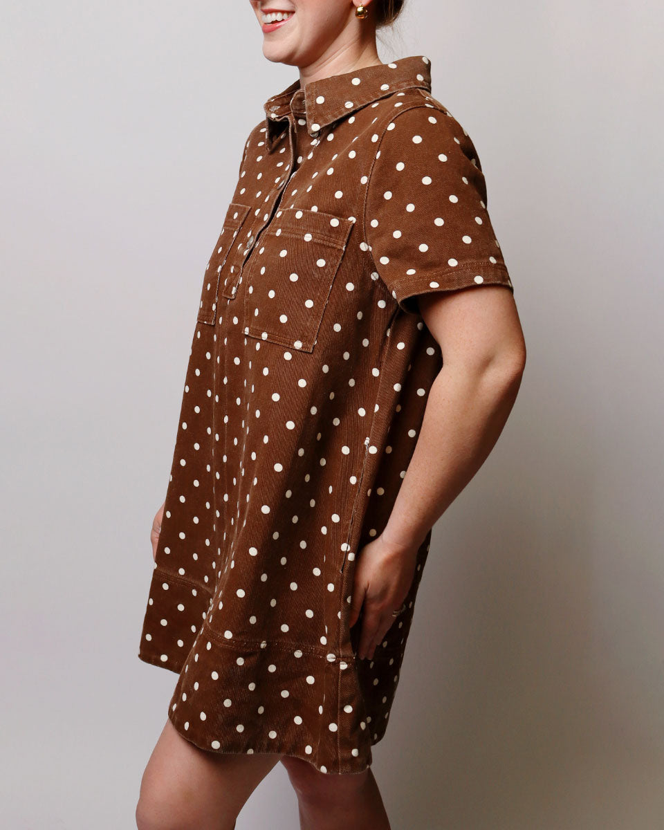 Viv Cotton Dot A-Line Pullover Dress