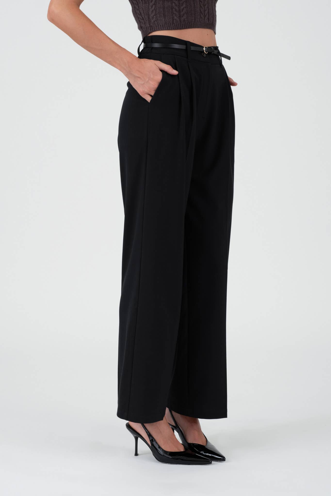 High Waist Pleated Wide Leg Dress Pant