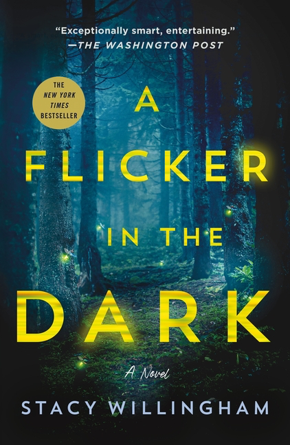 A Flicker in The Dark