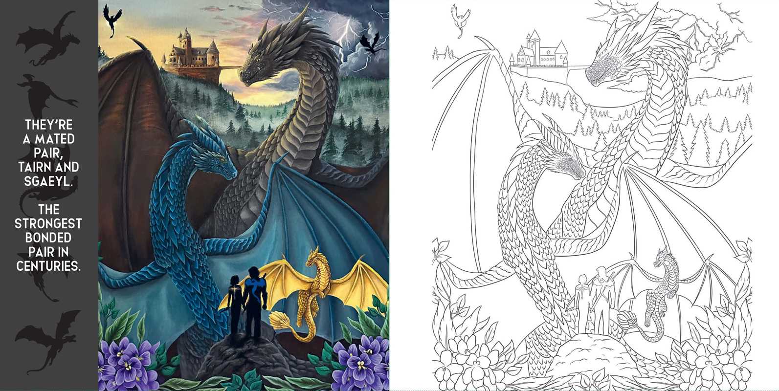 Fourth Wing: The Official Coloring Book