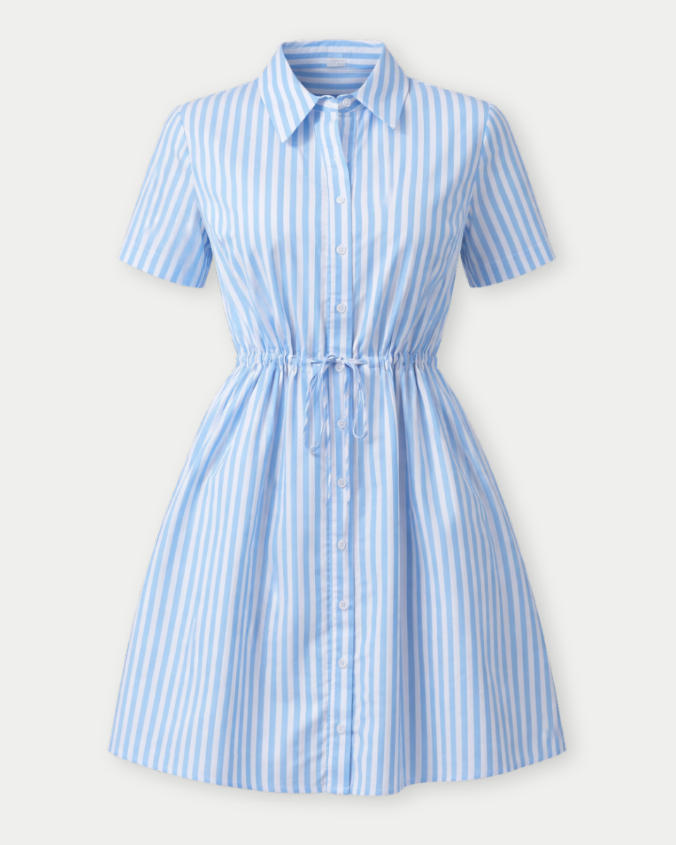 Saida Striped Kenda Shift Mini Dress - Blackbird Boutique