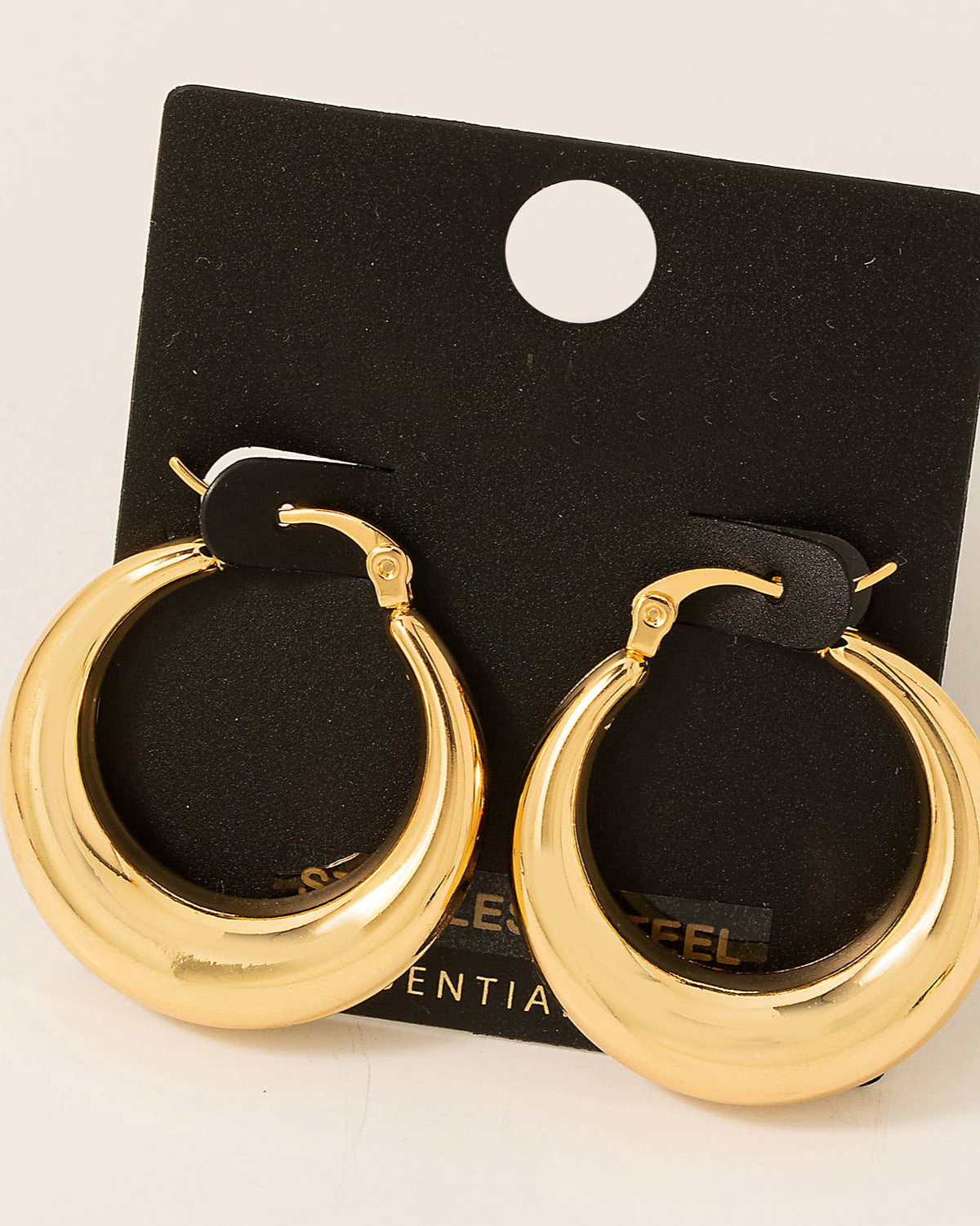 Stainless Steel Latch Hoop Earrings - Blackbird Boutique