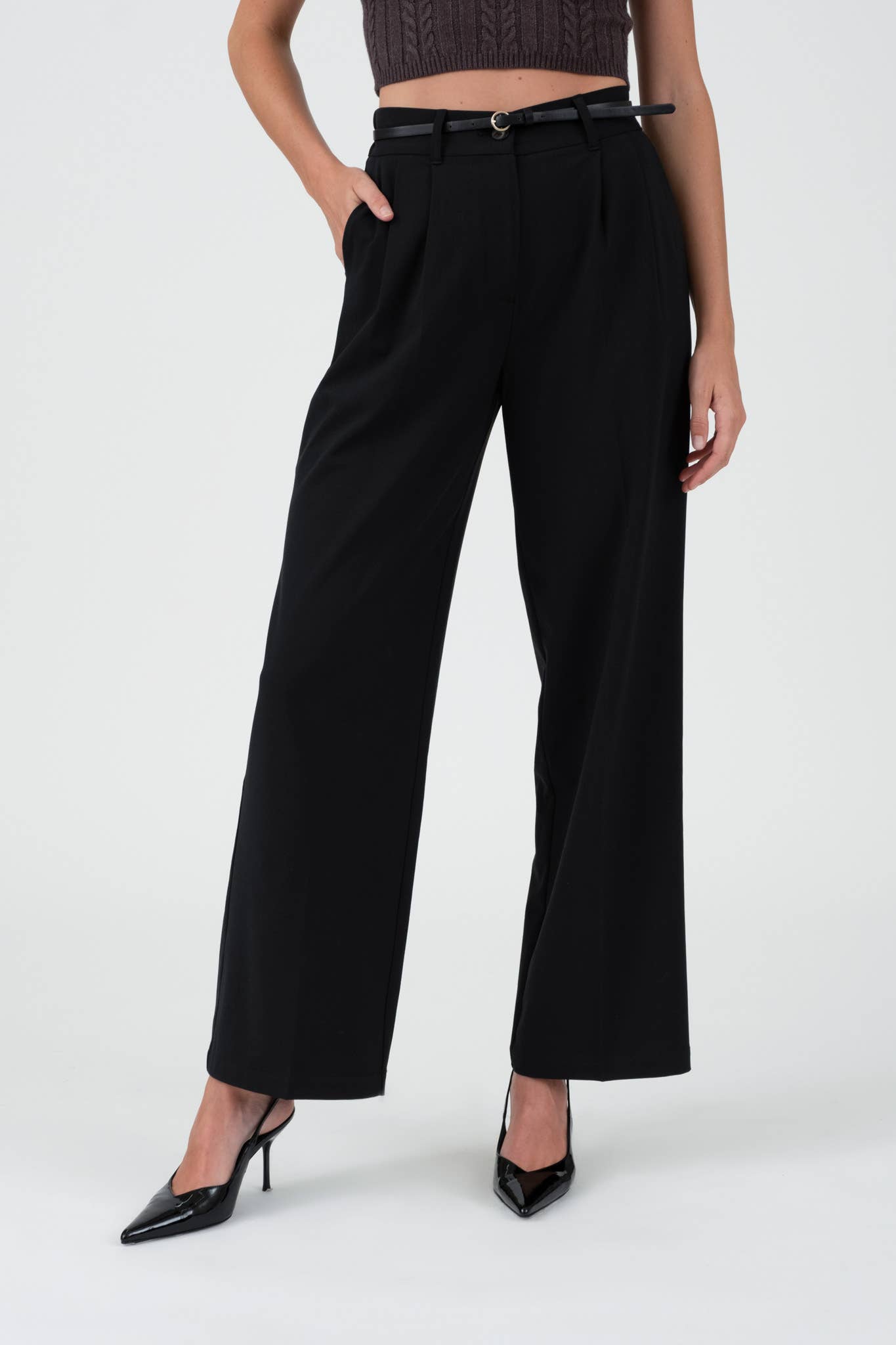High Waist Pleated Wide Leg Dress Pant