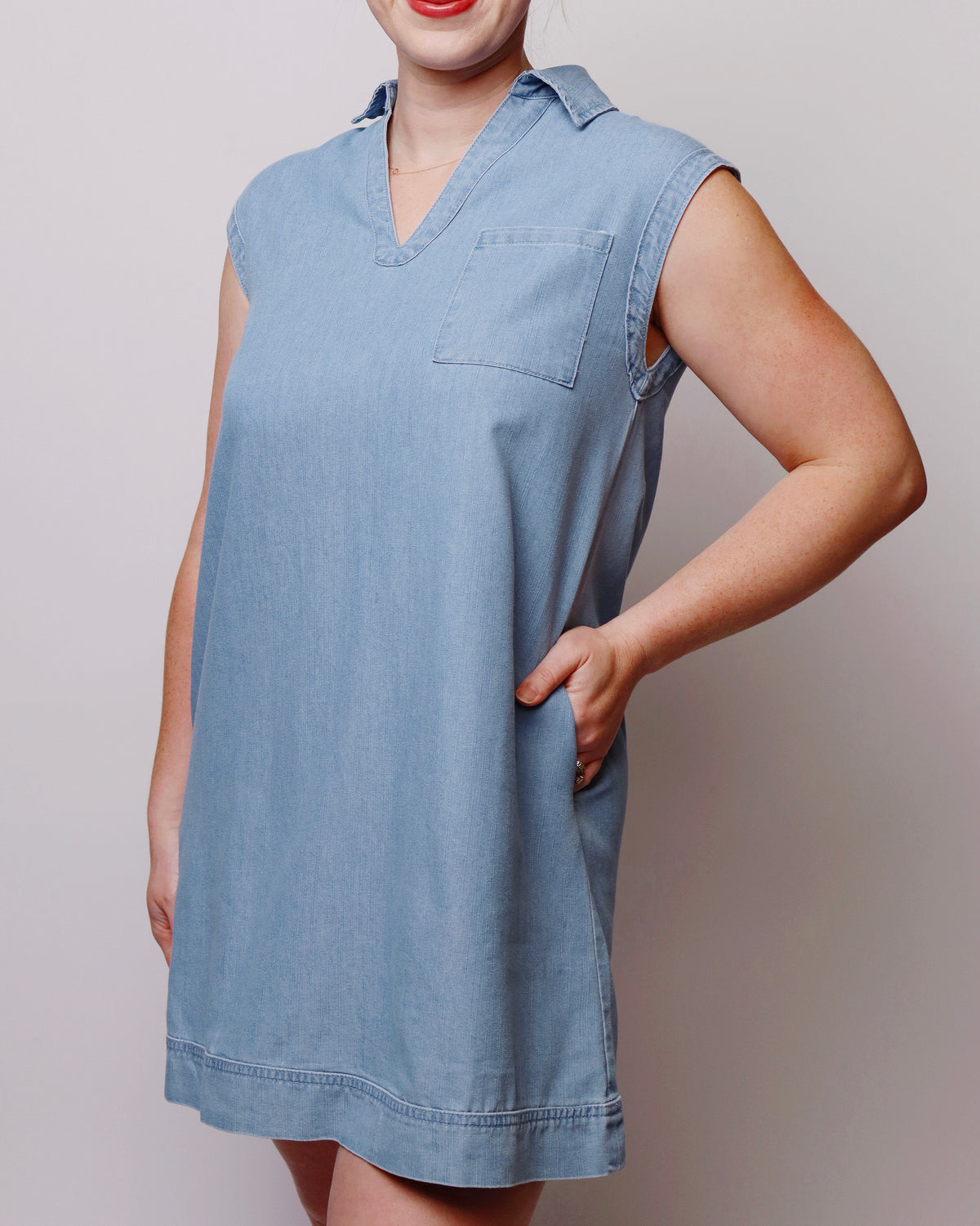 Blythe Denim Sleeveless Mini Dress