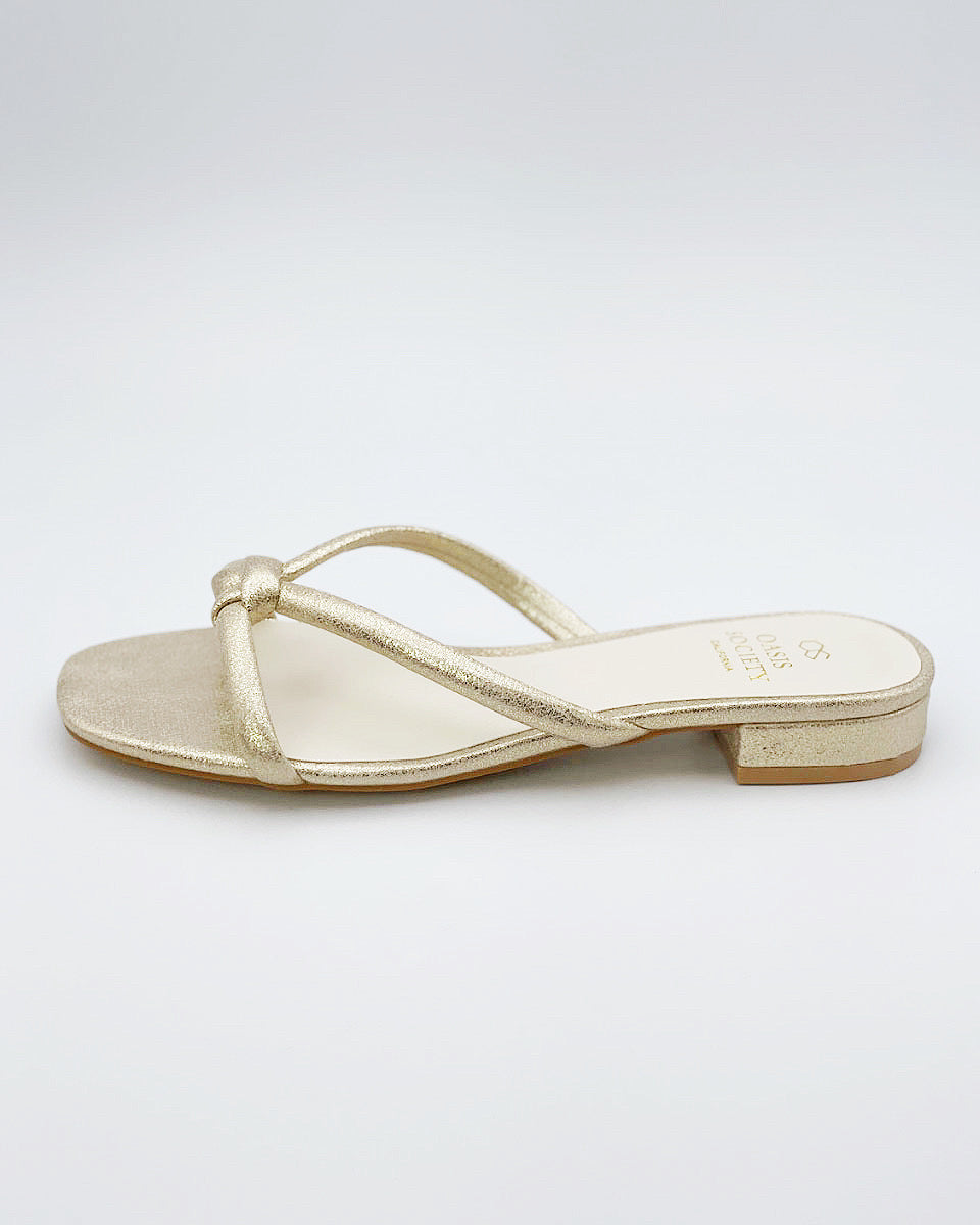 Ada Sandals in Gold - Blackbird Boutique