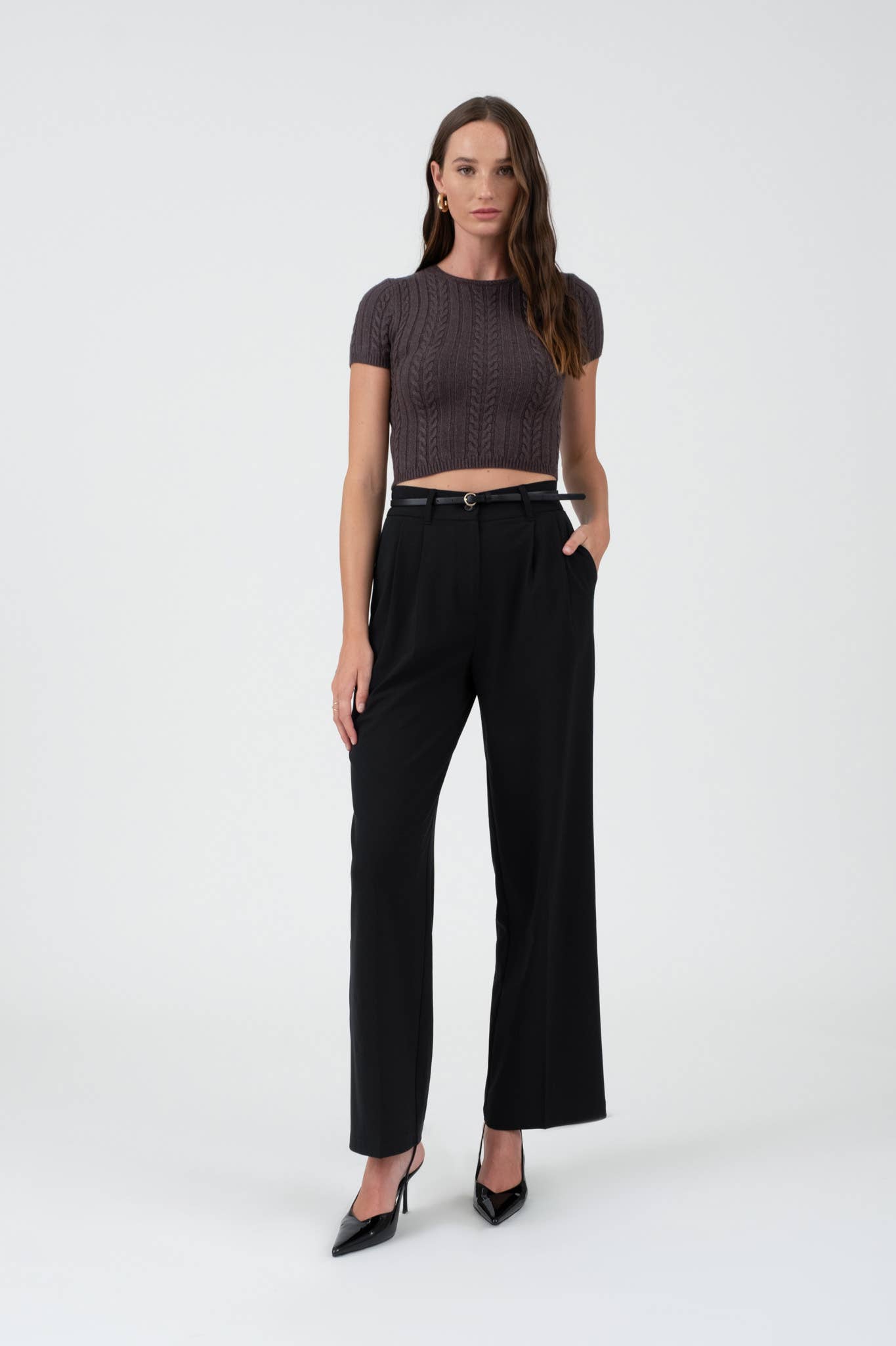High Waist Pleated Wide Leg Dress Pant